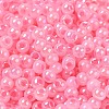 Glass Seed Beads SEED-H002-H-1309-3