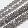Natural Labradorite Round Bead Strands G-M263-B-03-1