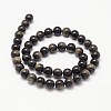 Natural Golden Sheen Obsidian Beads Strands X-G-K115-13-8mm-2