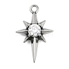 316 Surgical Stainless Steel Micro Pave Cubic Zirconia Pendants X-STAS-G349-01AS-02-1