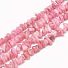 Freshwater Shell Beads Strands SHEL-S270-05-1