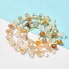 Natural Citrine Beads Strands G-H297-B10-01-2