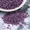 MIYUKI Delica Beads X-SEED-J020-DB2182-1
