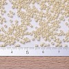 MIYUKI Delica Beads SEED-JP0008-DB0204-5