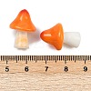Mushroom Themes Resin Display Decorations DJEW-S002-01A-3