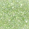 Glass Seed Beads SEED-K009-04A-08-3