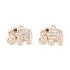 Rack Plating Brass Micro Pave Cubic Zirconia Charms ZIRC-C026-09LG-1