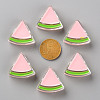 Transparent Enamel Acrylic Beads TACR-S155-001E-3