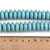 Dyed Natural Magnesite Beads Strands G-B173-A01-02-5