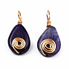 Natural Agate Pendants G-N326-137-05-3