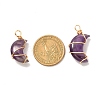 Natural Amethyst Pendants PALLOY-JF00931-01-3