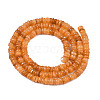 Natural Freshwater Shell Beads Strands SHEL-S278-067F-2