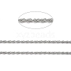 Tarnish Resistant 304 Stainless Steel Rope Chains CHS-G027-08B-P-2