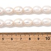 Natural Cultured Freshwater Pearl Beads Strands PEAR-I007-01E-04A-5