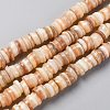 Natural Freshwater Shell Beads Strands SHEL-C001-06B-1