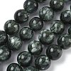 Natural Seraphinite Beads Strands G-C270-O01-13-2