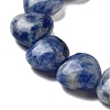 Natural Blue Spot Jasper Beads Strands G-B022-26C-3