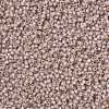 MIYUKI Round Rocailles Beads SEED-G008-RR0579-3