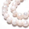 Natural Cultured Freshwater Pearl Beads Strands PEAR-N013-03D-01-4