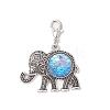 Resin Pendant Docorations HJEW-JM03704-3