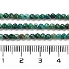 Natural Chrysocolla Beads Strands G-P514-A03-02-01-4