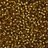 TOHO Round Seed Beads SEED-XTR11-0022CF-2