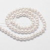 Shell Pearl Beads Strands BSHE-L025-01-6mm-2