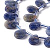 Natural Sodalite Beads Strands G-G805-B14-4