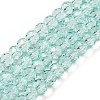 Transparent Baking Paint Glass Beads Strands DGLA-A034-T6mm-D01-1