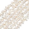 Natural Cultured Freshwater Pearl Beads Strands PEAR-E019-05-1