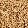 MIYUKI Round Rocailles Beads X-SEED-G009-RR4202-3