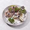 Gorgecraft Succulent Micro Landscape Dollhouse Ornaments DJEW-GF0001-55-5