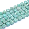 Natural Amazonite Beads Strands G-L552D-11A-1