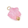 Luminous Acrylic Charms PALLOY-JF03320-01-4