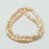 Natural Sea Shell Column Bead Strands SSHEL-M014-22-2