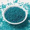 MIYUKI Round Rocailles Beads SEED-JP0009-RR1822-4