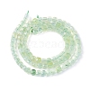 Natural Prehnite Beads Strands G-L537-003A-3