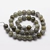 Natural Labradorite Bead Strands X-G-O155-05B-8mm-2