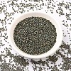 MIYUKI Delica Beads SEED-MY11-DB0024-2