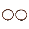 Spray Painted Iron Hinged Binder Rings IFIN-P040-01A-2