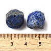 Natural Lapis Lazuli Carved Beads G-P550-01-3