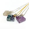 Natural Fluorite Perfume Bottle Pendant Necklaces NJEW-F266-03-1