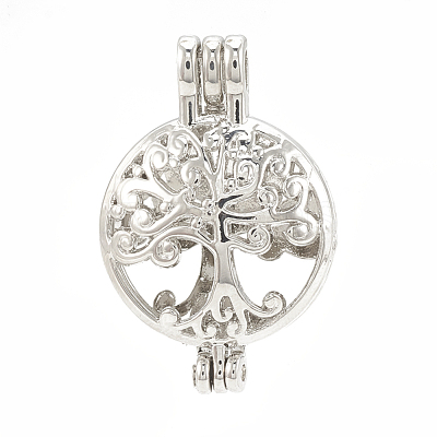 Alloy Locket Pendants X-PALLOY-S062-54P-1