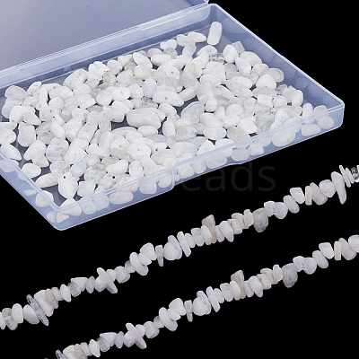 2 Strands Natural Rainbow Moonstone Chip Beads Strands G-SC0002-51-1
