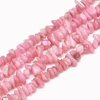 Freshwater Shell Beads Strands SHEL-S270-05-1