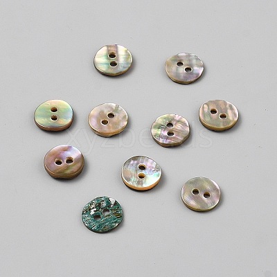 2-Hole Shell Buttons BUTT-WH0030-71B-1