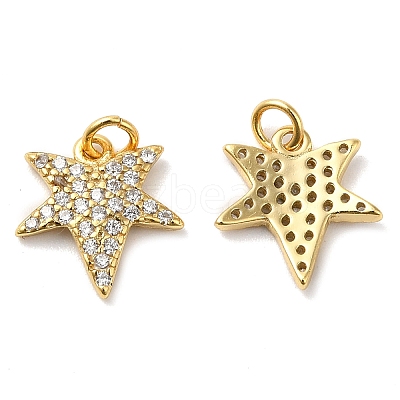 925 Sterling Silver Micro Pave Cubic Zirconia Charms STER-I010-36G-1
