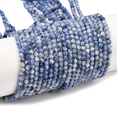 Natural Blue Spot Jasper Beads Strands G-A252-A02-02-1