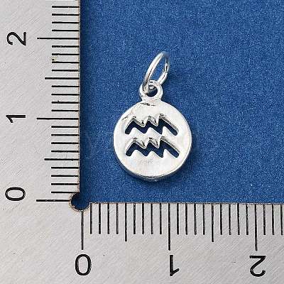 925 Sterling Silver Constellations Charms LS-STER-M118-01E-1