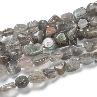 Natural Labradorite Beads Strands G-G018-24-1
